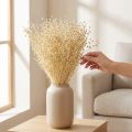 Tiges de lin séchées blanches naturelles 50-55 cm 180 g | Floristik24.fr