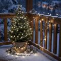 Guirlande lumineuse LED 80 ampoules froides 6 m pour intérieur et extérieur | Floristik24.fr