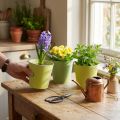 Set de 4 cache-pots en papier vert et bleu Ø13cm H12,5cm | Floristik24.fr