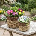Set de 2 paniers ovales en osier naturel avec doublure plastique, 30/22 cm et 20/17 cm | Floristik24.fr