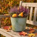 Pots décoratifs en métal vert avec motif feuilles d'érable – Ø25,5 cm, H22 cm | Floristik24.fr