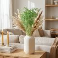 Fleurs séchées Ombellifères Vertes 70-80 cm 150 g | Floristik24.fr