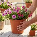 Pot de fleurs plastique terracotta Ø29cm H24cm | Floristik24.fr