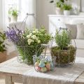 Set de 3 paniers en métal avec poignées – Style vintage, argenté et blanc | Floristik24.fr