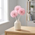 Fleurs séchées Pusteblume roses 12 cm – Lot de 4 | Floristik24.fr