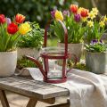 Duo décoratif arrosoir métal rouge avec photophore en verre Ø14cm H13cm | Floristik24.fr