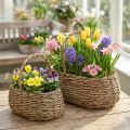 Paniers à Plantes avec Anse en Bois et Film Plastique, Lot de 2 | Floristik24.fr