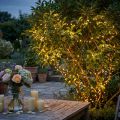 Lumineuse guirlande LED 360 ampoules 27 m lumière blanc chaud intérieur/extérieur | Floristik24.fr