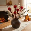 Fleurs séchées Plumosum rouges 25 pièces | Floristik24.fr