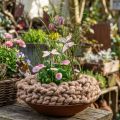 Fil décoratif en laine feutrée marron chiné 10 mm x 15 m | Floristik24.fr