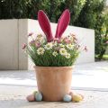 Décoration Oreilles de Lapin Roses pour Pâques - H 56 cm | Floristik24.fr