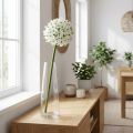 Deko-fleur Allium blanc Ø20cm tige 72cm en tissu et plastique | Floristik24.fr