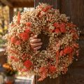 Couronne décorative fleurs séchées couronne de fleurs orange crème Ø25cm | Floristik24.fr