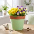 Ruban feutre pour pot vert clair 15cm 5m | Floristik24.fr
