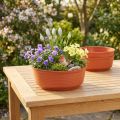 Coupe ronde en plastique imitation terracotta Ø22cm – Lot de 10 | Floristik24.fr