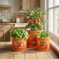 Set de Pots Décoratifs en Céramique avec Motif Tomates – 3 Tailles | Floristik24.fr