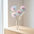 Décoration fleurs séchées Pusteblume stabilisées et colorées - Set de 4 - 12 cm | Floristik24.fr