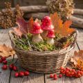Lot de 3 champignons décoratifs en bois – Rouge, blanc et naturel – H6/8/10 cm | Floristik24.fr