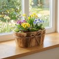 Coupe décorative ovale en bois naturel avec corde de jute 23x13x10cm | Floristik24.fr