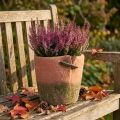 Cache-pot en béton finition terracotta et vert délavé Ø18cm H17cm | Floristik24.fr