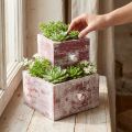 Coffret de 2 jardinières décoratives style Shabby Chic en bois rouge et blanc | Floristik24.fr