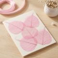 Feuilles Squelettisées Roses en Weiden 5-9 cm - Lot de 200 pour Décoration et Loisirs Créatifs | Floristik24.fr