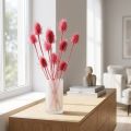 Lot de 10 têtes de chardons roses séchés 53 cm | Floristik24.fr