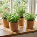Pots cache-pots en papier kraft Ø15 cm H13 cm lot de 4 | Floristik24.fr