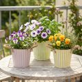 Set de 3 seaux décoratifs en métal avec anses en corde - Ø16,5 cm - Pastel Rose/Vert/Jaune | Floristik24.fr