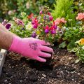 Gants de Jardin Kixx Taille 8 en Rose et Rose Foncé | Floristik24.fr