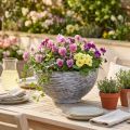 Coupe ronde pour plantes, gris et noir, Ø45cm x H22,5cm | Floristik24.fr