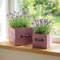 Set de 2 cache-pots en bois avec poignées vintage – Lila | Floristik24.fr