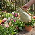 Arrosoir 9L vert olive avec pomme amovible pour jardin et plantes | Floristik24.fr