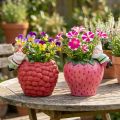 Pots en céramique décoratifs en forme de fraise et framboise avec figurines de nains – Lot de 2 | Floristik24.fr