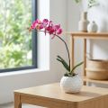 Orchidée artificielle rose en pot – Phalaenopsis 34 cm | Floristik24.fr