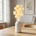 Craspedia séchée couleur crème 20 tiges 50-55 cm | Floristik24.fr