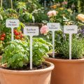 Étiquettes pour plantes avec supports interchangeables en plastique, lot de 10 | Floristik24.fr
