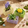 Sachets cadeaux tissés avec poignées vert, jaune, violet 20×10×10 cm lot de 6 | Floristik24.fr