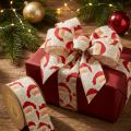 Ruban décoratif Père Noël 60 mm 10 m | Floristik24.fr