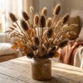 Chardons Séchés Naturels 1kg – Décoration Automnale et Créative | Floristik24.fr
