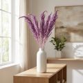 Fleurs séchées Fuchsschwanz violet 100 cm - Lot de 5 | Floristik24.fr
