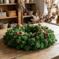 Mousse décorative verte en lichens naturels conservés 400g | Floristik24.fr