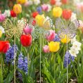 Lot de 6 piquets décoratifs papillon en métal pastel 25 cm | Floristik24.fr
