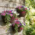 Set de 3 paniers muraux métalliques décoratifs en finition rouillée | Floristik24.fr