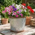 Pot déco avec poignées en métal argenté et effet rouille - Ø26cm H25,5cm | Floristik24.fr