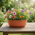 Coupe ronde en plastique Ø20 cm - Lot de 10 | Floristik24.fr