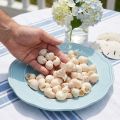 Coquillages décoratifs naturels Umachi 500g | Floristik24.fr