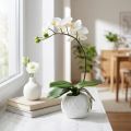 Orchidée artificielle Phalaenopsis crème en pot céramique 33 cm | Floristik24.fr