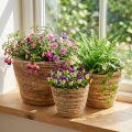 Set de 3 paniers en rotin naturel et brun, Ø26/22/16 cm, intérieur avec film plastique | Floristik24.fr