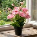 Plante artificielle Mohn oriental rose en pot, 48 cm | Floristik24.fr